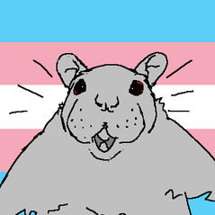 trans rat